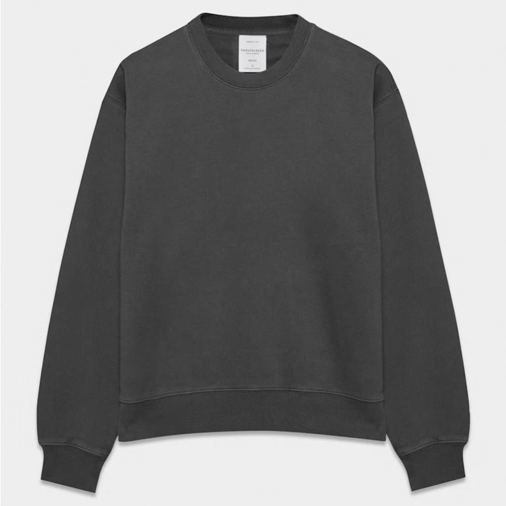 Aritzia Cozy Sweatfleece Perfect Crew Sweatshirt